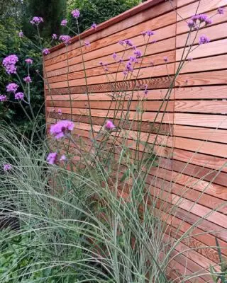 Simples….
Cedar fencing supplied by @contemporaryfencing plants by @rotherhillnurseriesmike